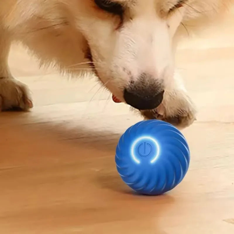 Interactive Electric Cat Ball