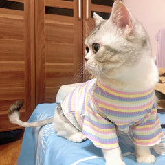 Sweet Stripe Cotton Cat Shirt