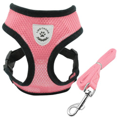 Breathable Mesh Cat & Dog Harness Set