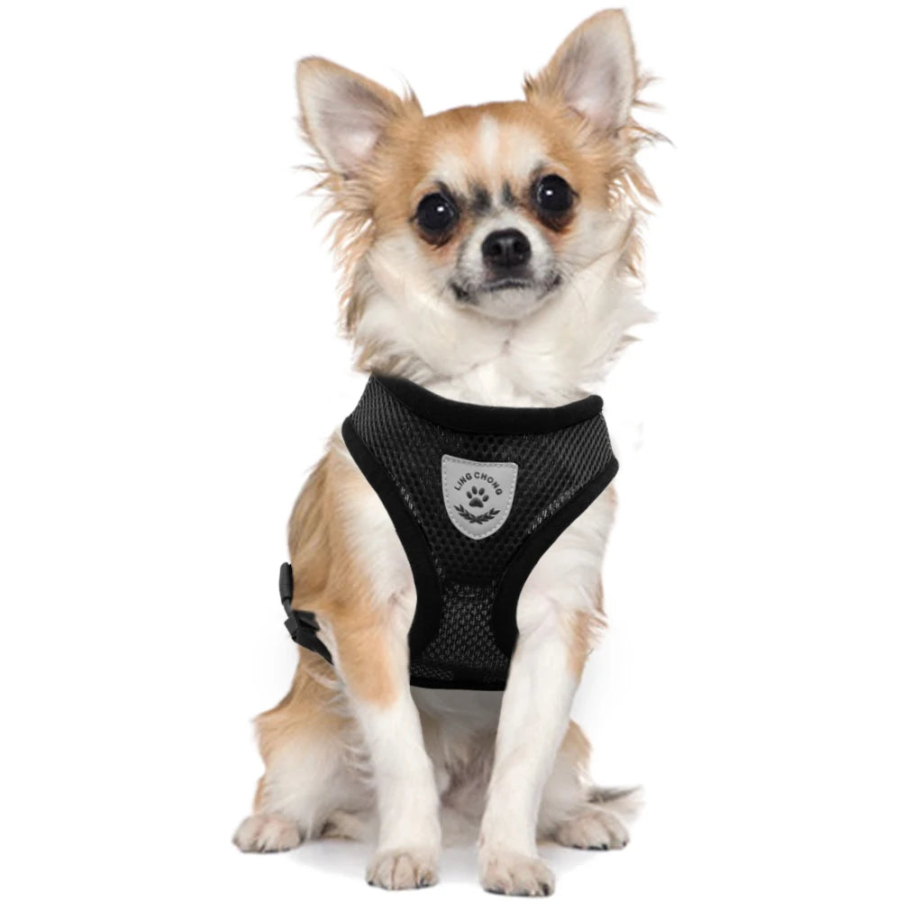 Breathable Mesh Cat & Dog Harness Set