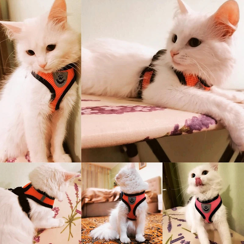 Adjustable Mesh Cat & Dog Harness