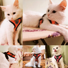 Adjustable Mesh Cat & Dog Harness