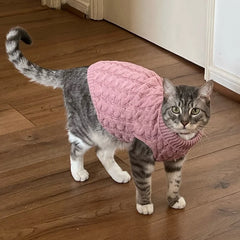 Cozy Knitted Sphynx Sweater