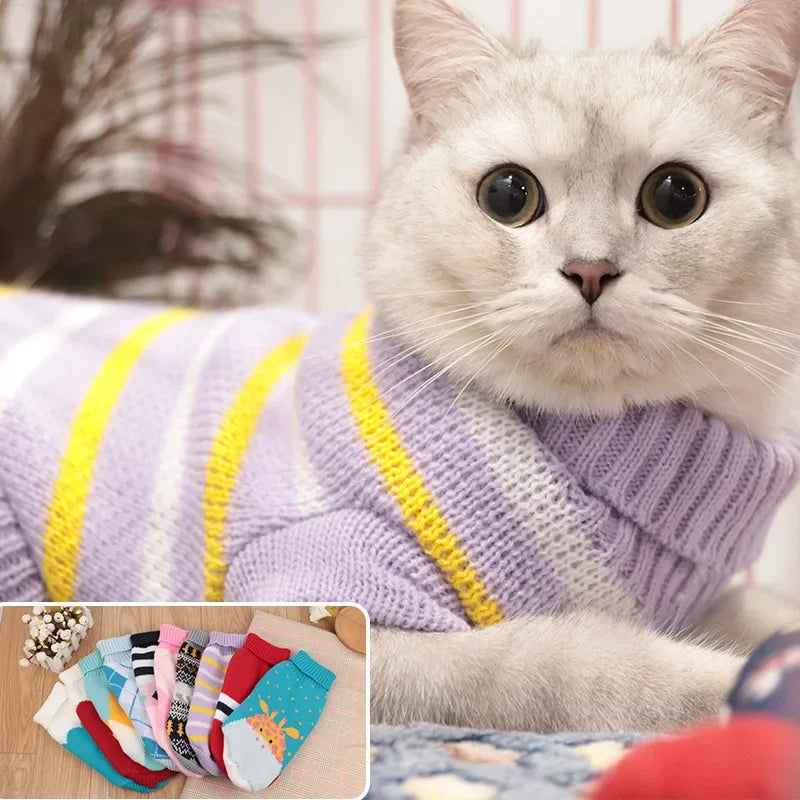 Stylish Winter Cat Sweater