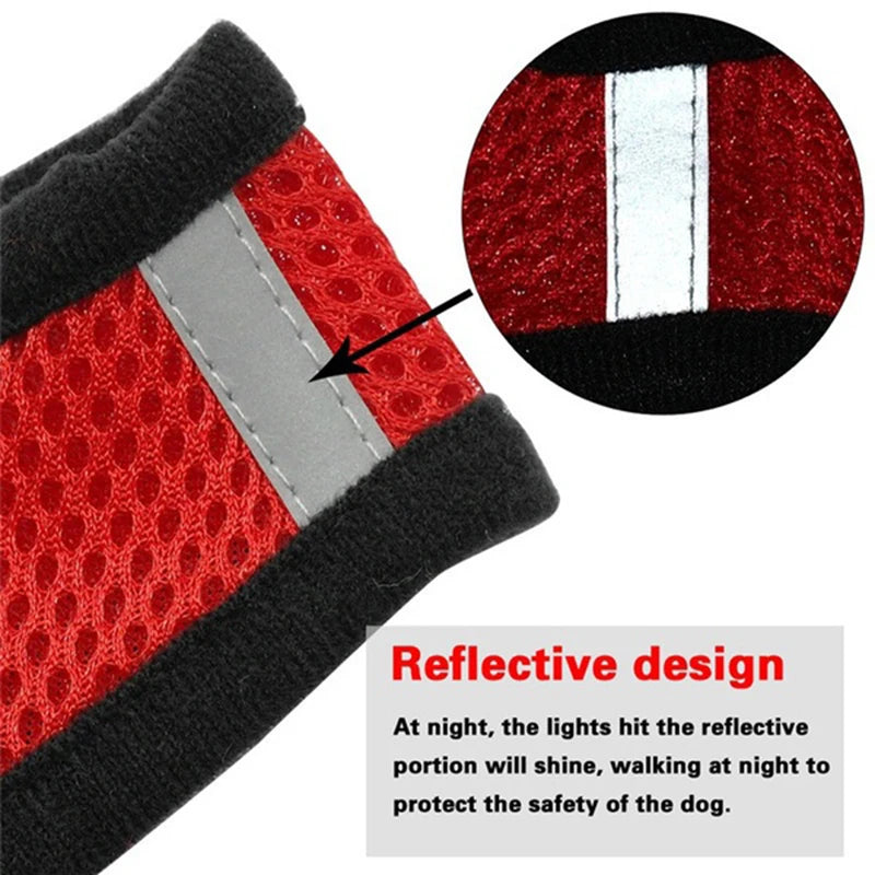 Adjustable Breathable Pet Harness