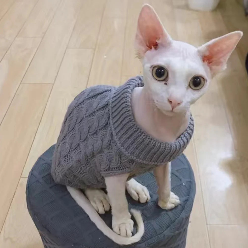 Cozy Knitted Sphynx Sweater