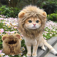 Cute Lion Mane Cat Costume