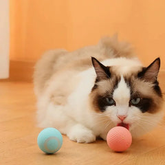 USB Charging Rolling Cat Ball