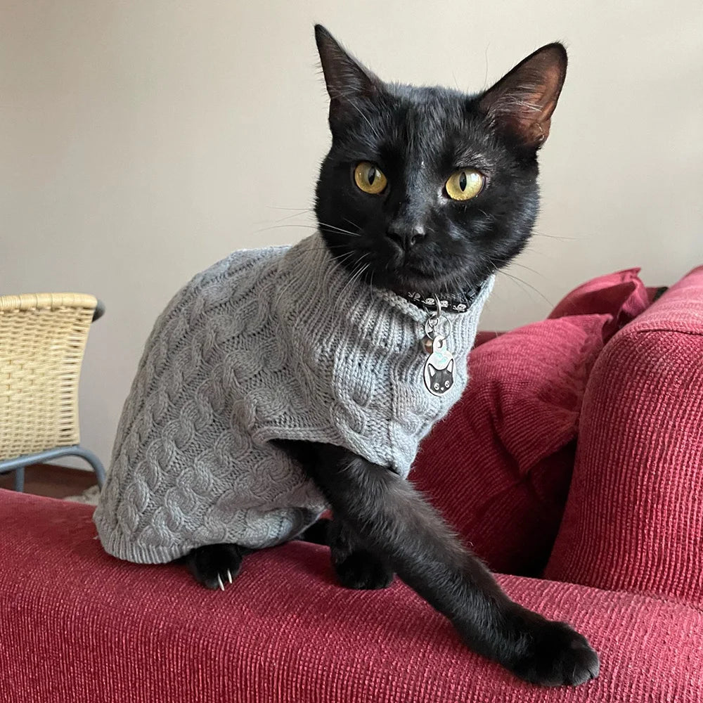 Cozy Knitted Sphynx Sweater