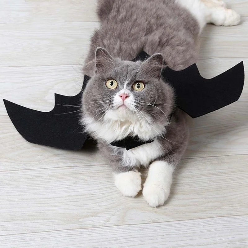 Cute Bat Wings Costume