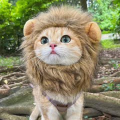 Cute Cat Lion Wig Hat