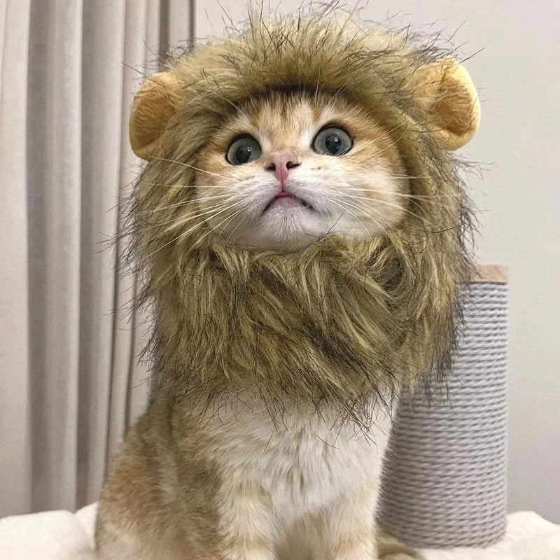 Cute Lion Mane Cat Costume