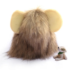 Cute Cat Lion Wig Hat