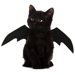 Cute Bat Wings Costume