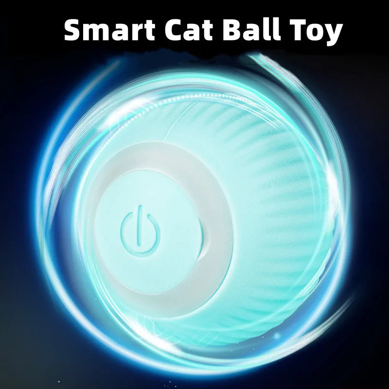 Automatic Rolling Cat Ball