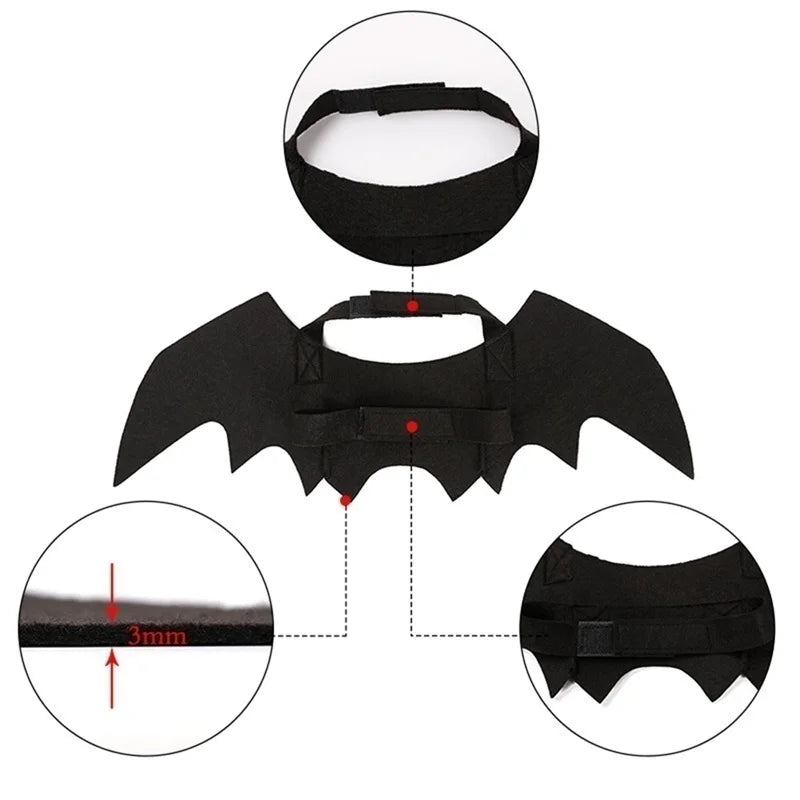 Cute Bat Wings Costume